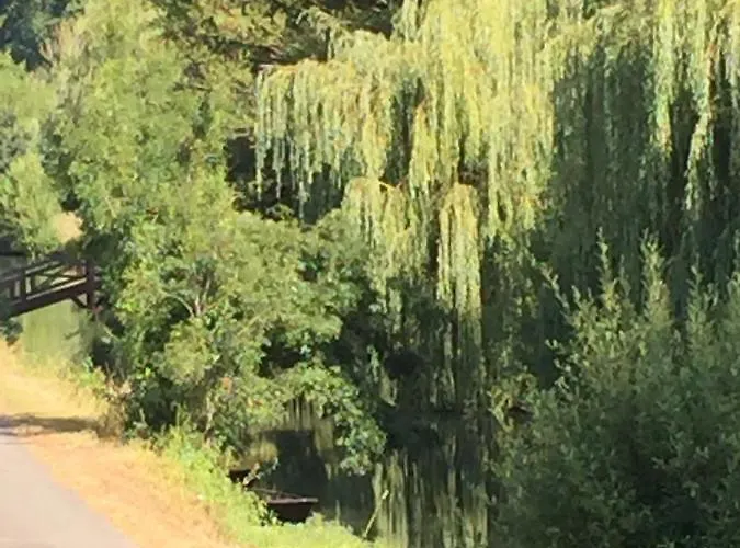 Relais De La Venise Verte