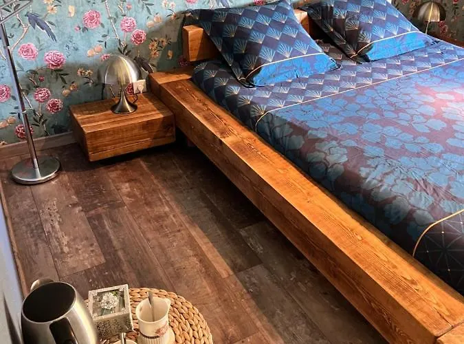 Relais De La Venise Verte 3* Coulon